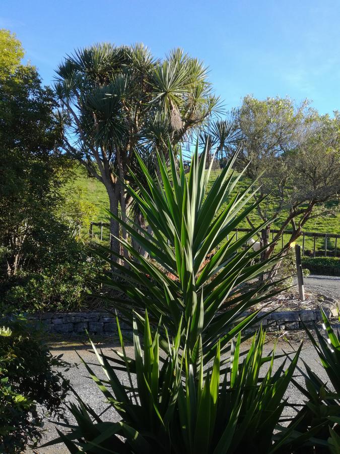 Junohall Backpackers Waitomo Caves Εξωτερικό φωτογραφία